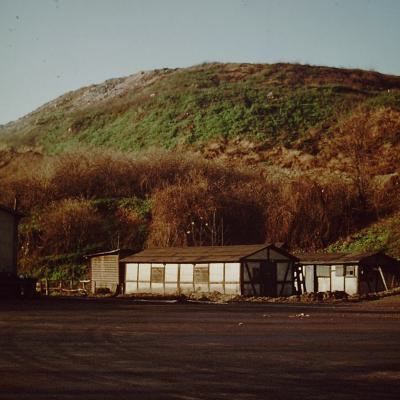 Scherbelino 25