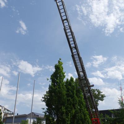 Img 01