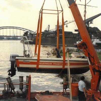Flb036