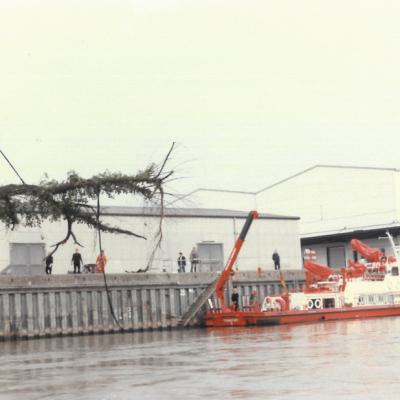 Flb061